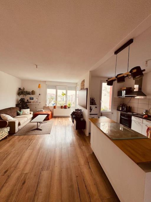 Bel Appartement Proche Mulhouse Pfastatt Exterior foto